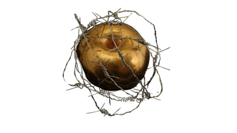 golden apple wrapped in barbed wire