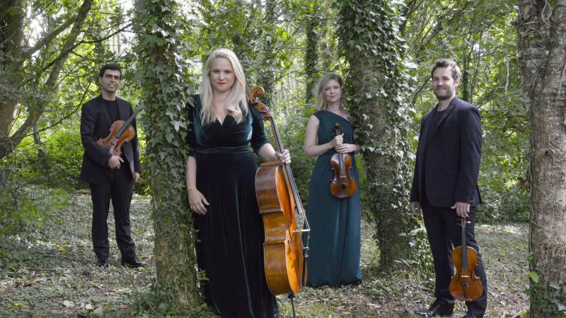 Piatti Quartet: The Cinematic Experience